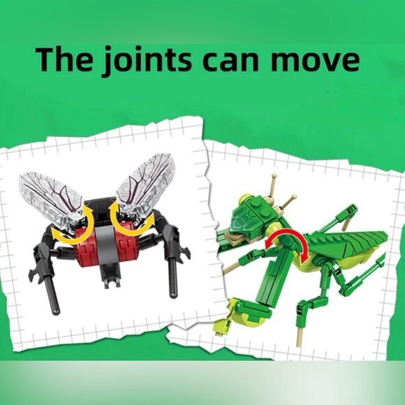 Scarab Insect Series Bug Collection - Picture 3 of 4